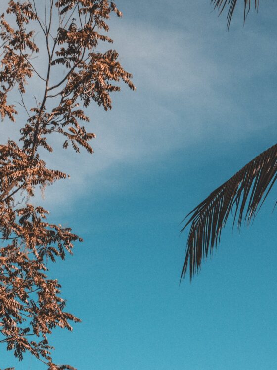 Simpele tips voor een gezondere levensstijl