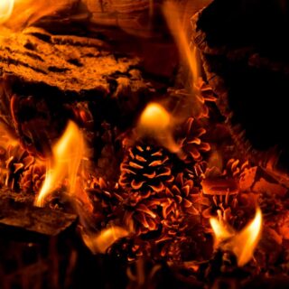 Sfeer en warmte: de keuze tussen houtkachels en elektrische haarden