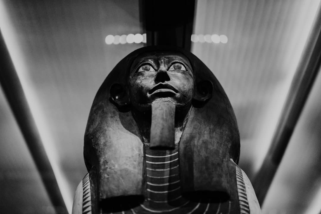 Toetanchamon: het mysterie van de jonge farao ontrafeld